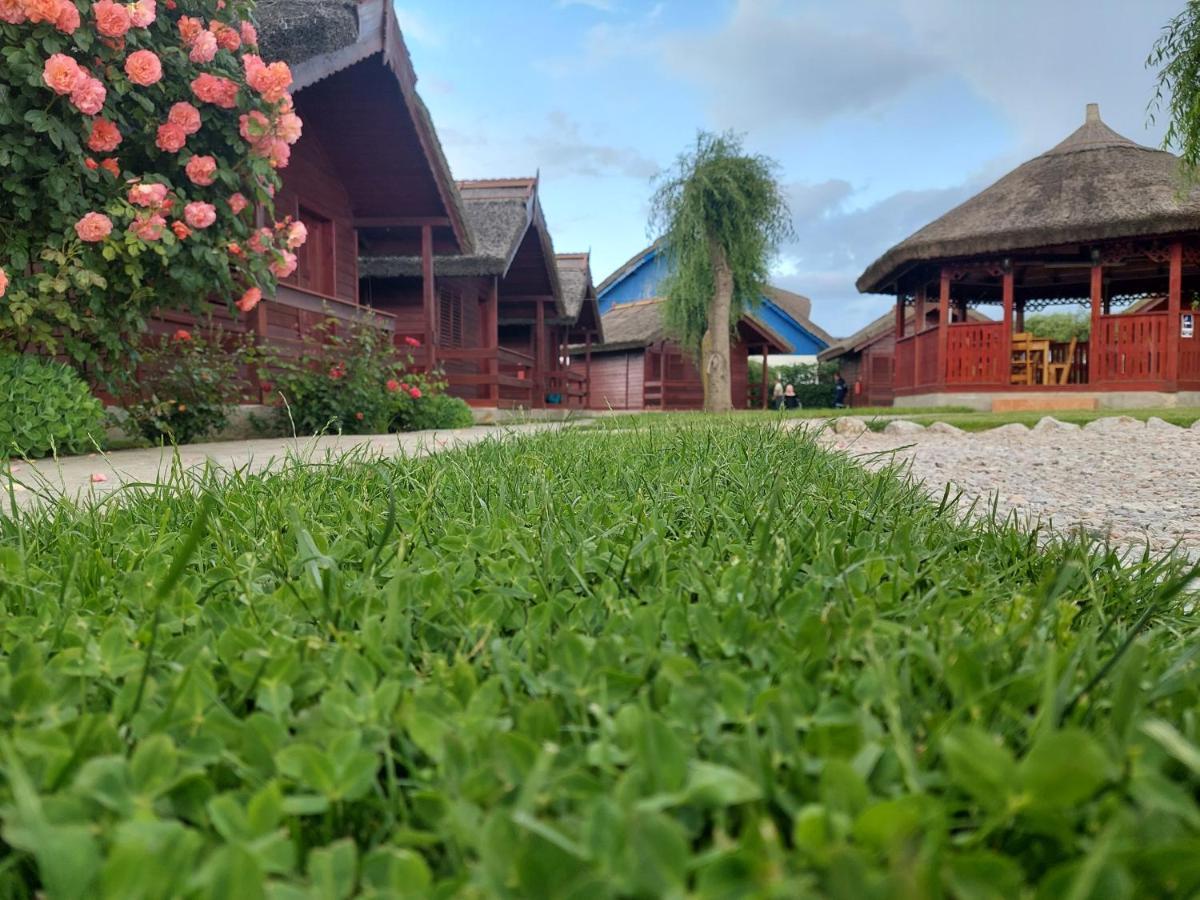 Pensiunea La Tavi มูรีกีโอล ภายนอก รูปภาพ